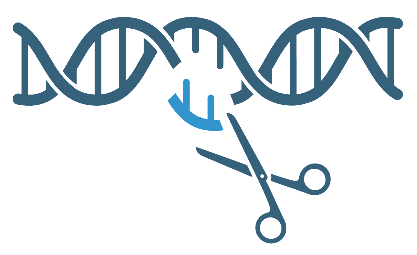 DNA double helix being cut by scissors with a guide RNA strand, representing CRISPR editing.